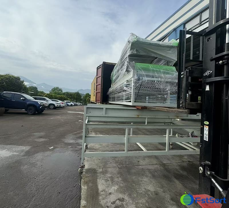 images/1747991135124grade garlic.jpg